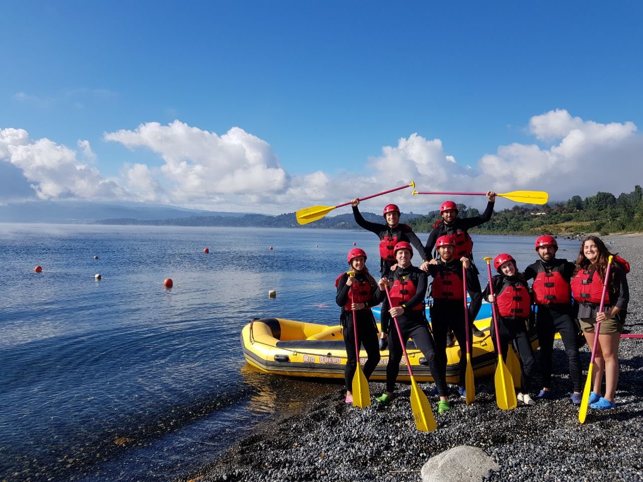 d53196ea-cfdf-457e-908e-558f9883486a